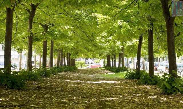 Strade strette, colori caldi, verde ovunque:  il 